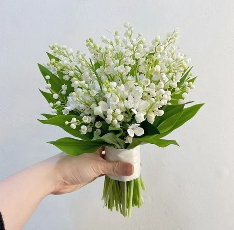 Simple hand-tied bouquet of white lily of the valley